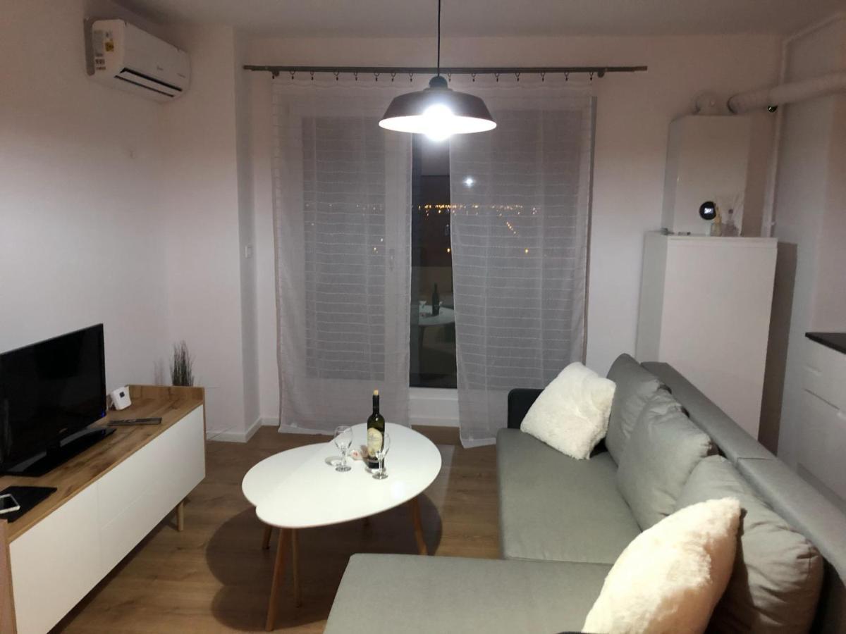 Chronos Apartment - Modern And Stylish 蒂米什瓦拉 外观 照片