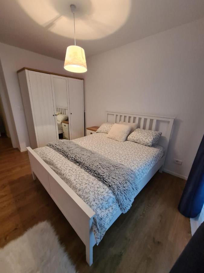 Chronos Apartment - Modern And Stylish 蒂米什瓦拉 外观 照片